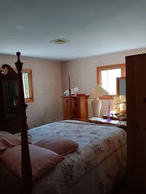 The Handyman Painter