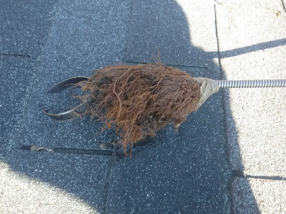 Slide of The Happy Plumber