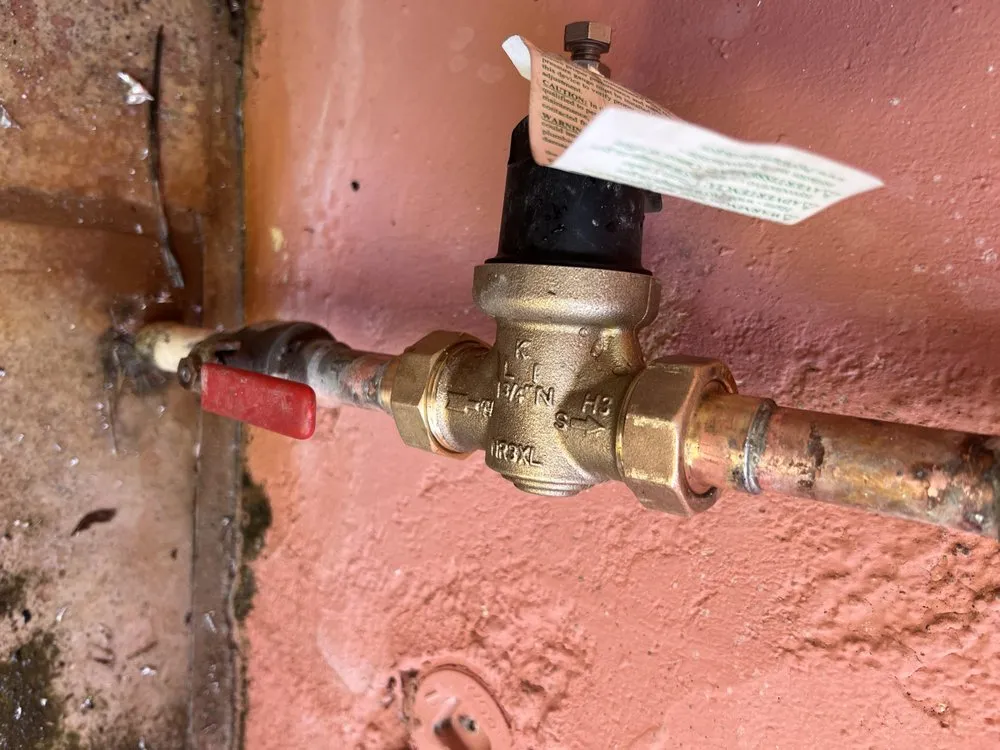 Slide of The Happy Plunger