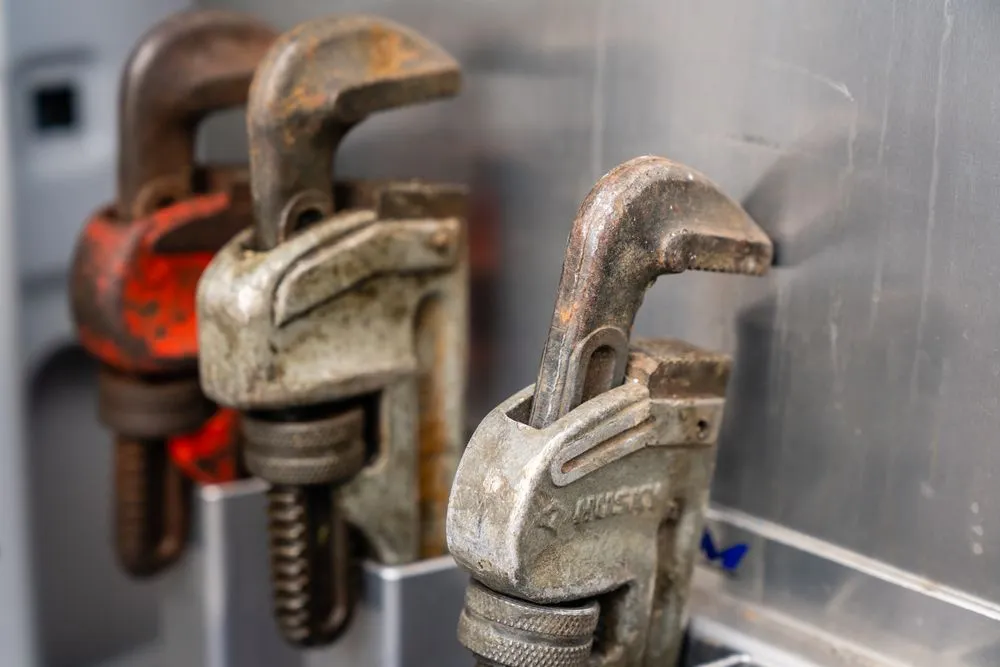 Slide of The Happy Plunger