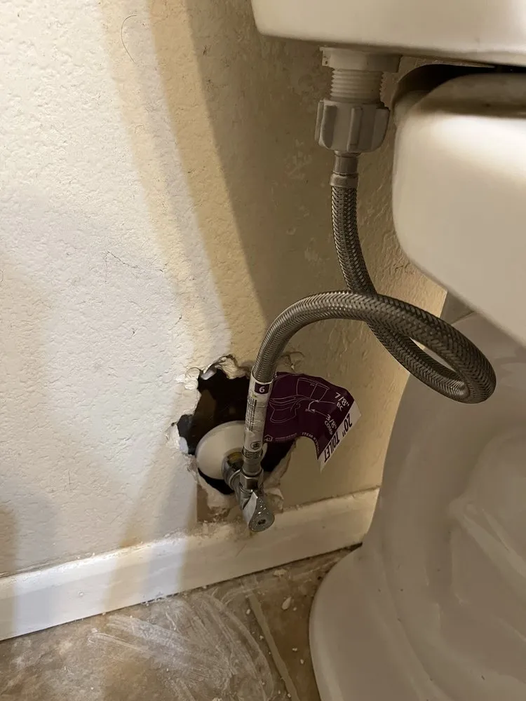 Slide of The Happy Plunger