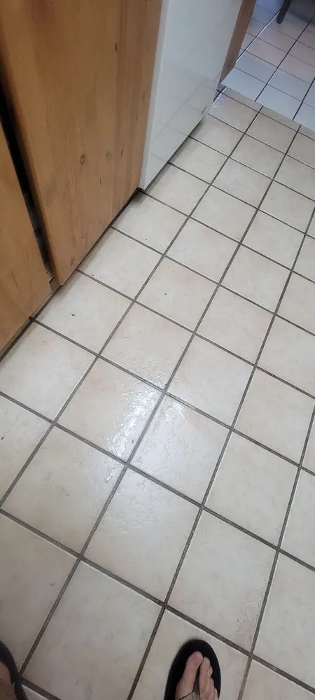 Slide of The Happy Plunger