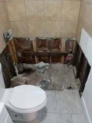 The Home Improvement Specialist Logo