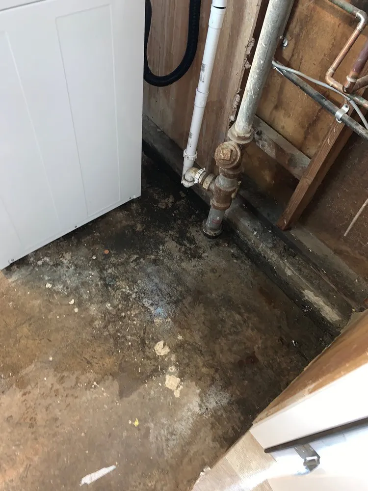 Slide of The Honest Plumber