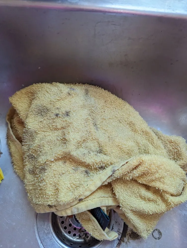 Slide of The House Doctor