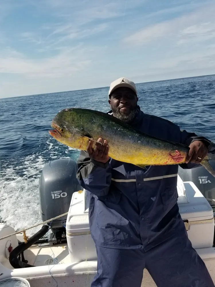 Slide of The House Doctor Plumbing