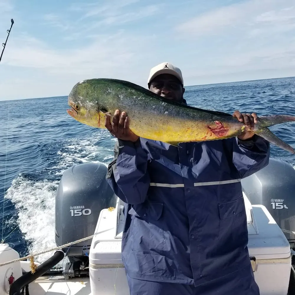 Slide of The House Doctor Plumbing