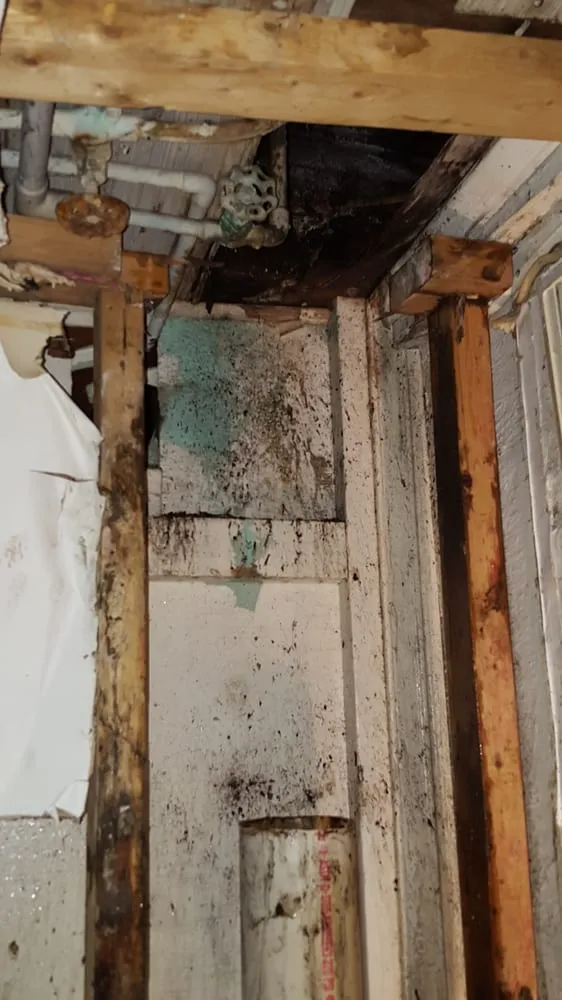 Expert drain cleaning service in Philadelphia, PA - The House Doctor Plumbing