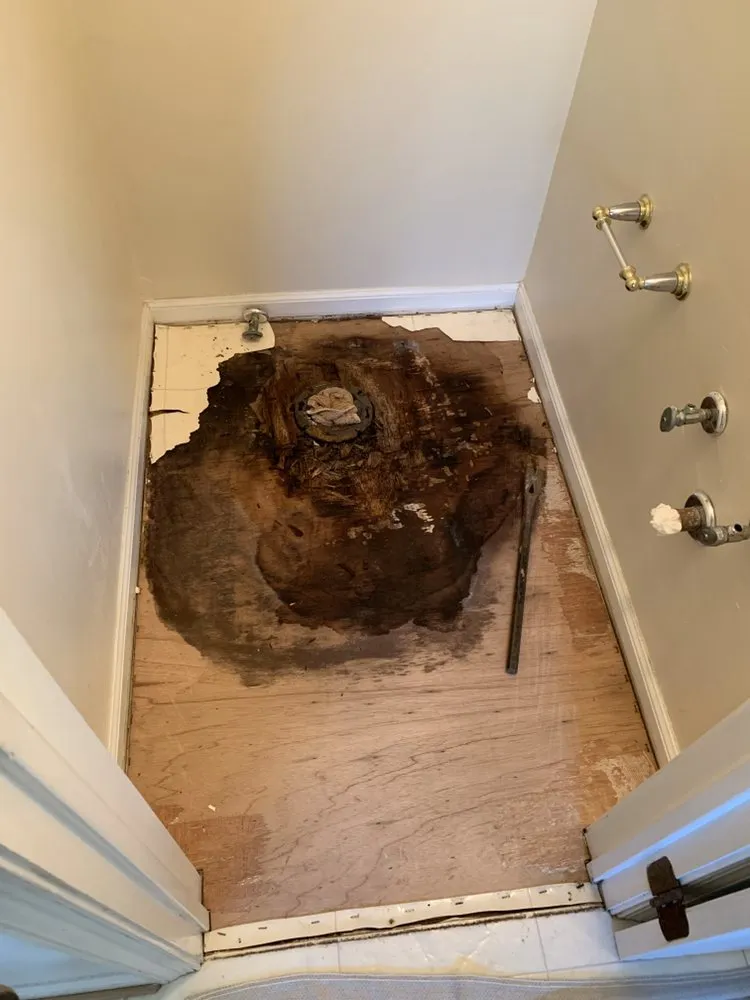 Slide of The John Doctor