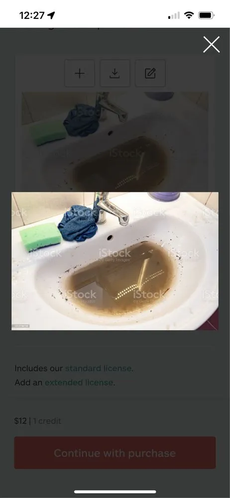 Slide of The King of Drains