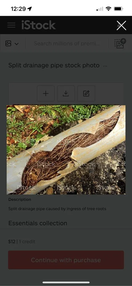 Slide of The King of Drains