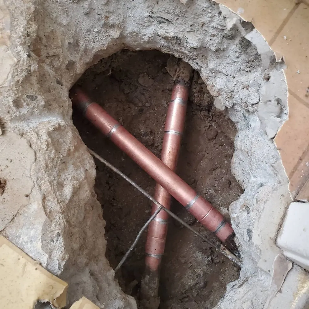 Slide of The Leak Detective