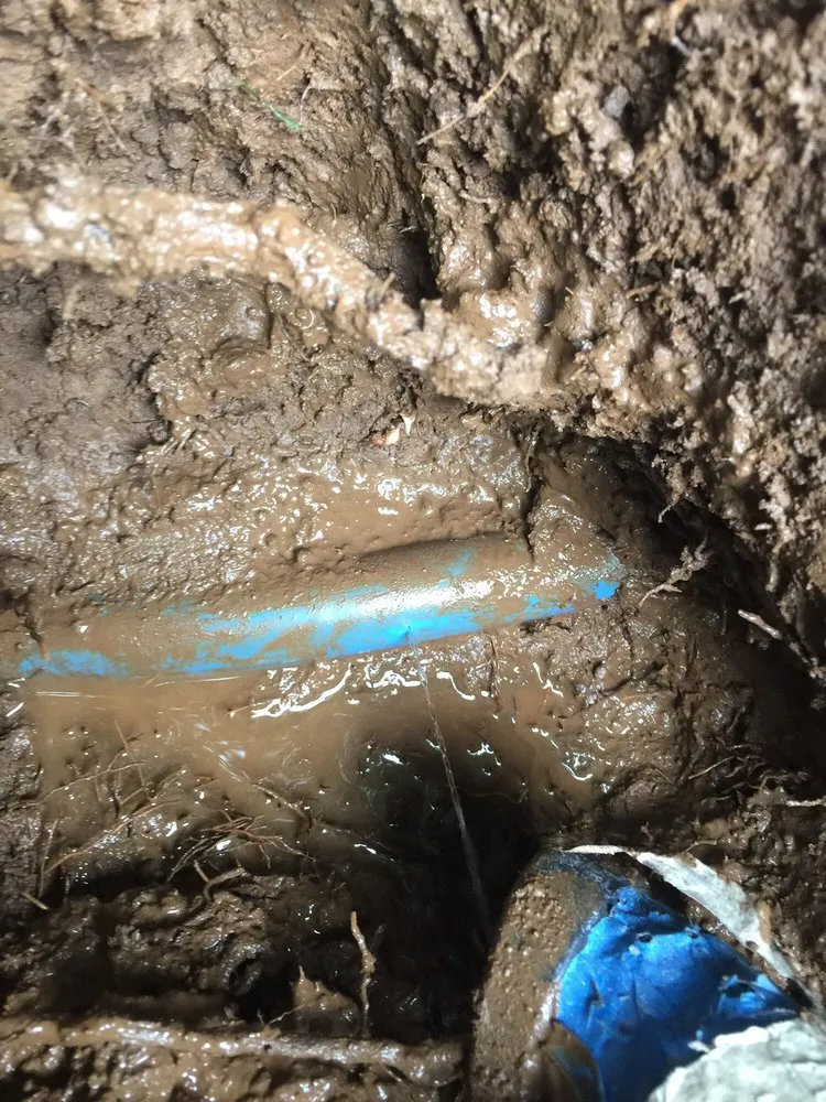 Slide of The Leak Detectives