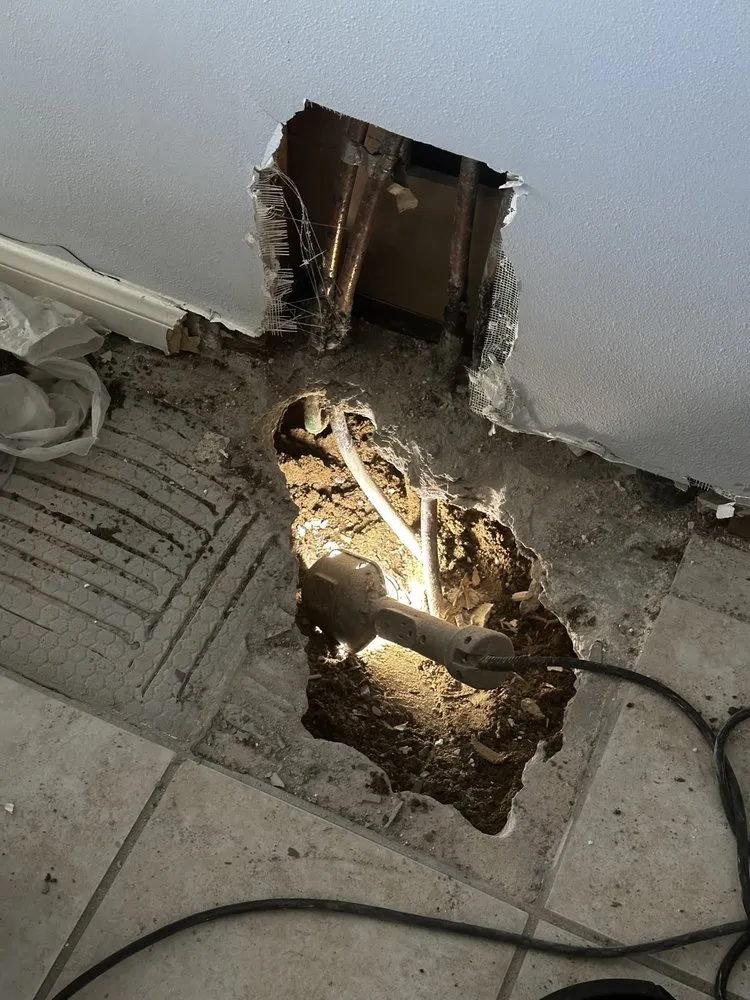 Slide of The Leak Experts