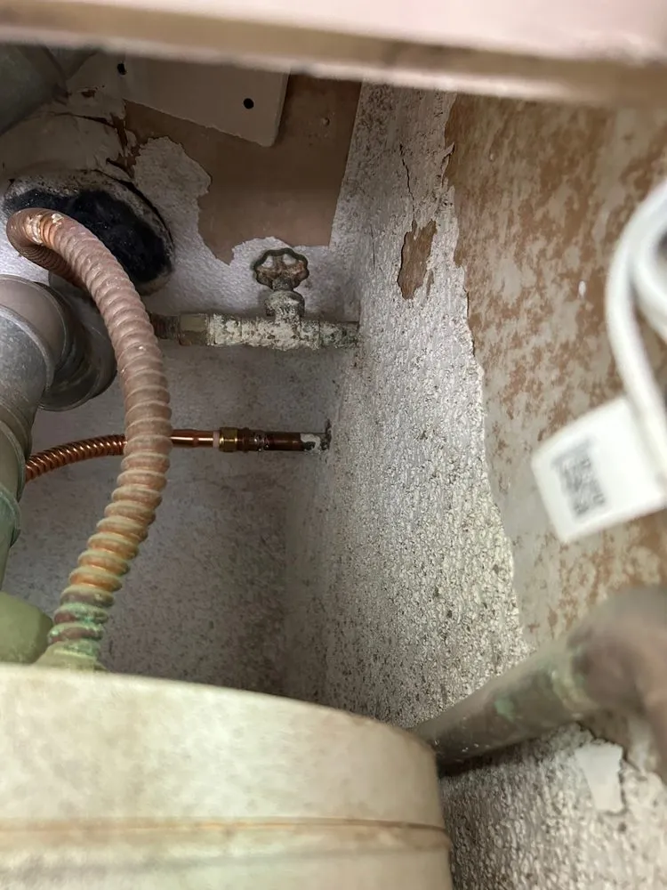 Slide of The Leak Experts