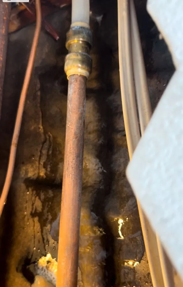 Slide of The Leak Experts