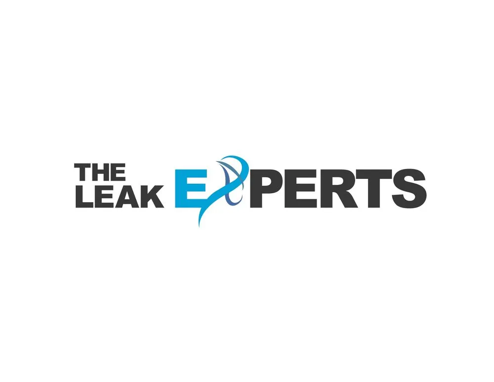 Slide of The Leak Experts