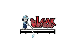 Slide of The Leak Whisperers