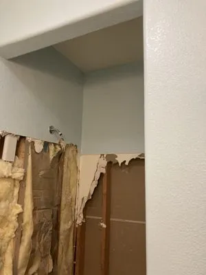 The Leo Park Residential Home Development Logo