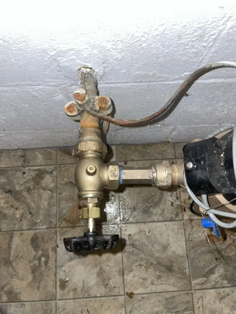 Slide of The Local Plumber