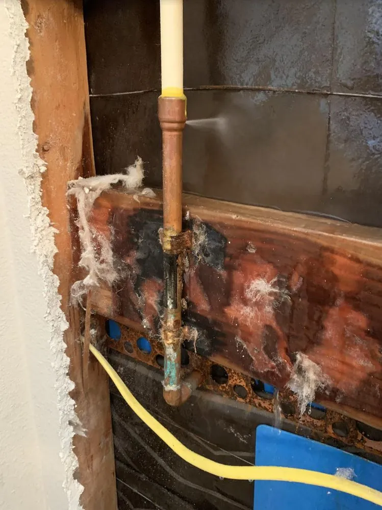 Slide of The Local Plumber