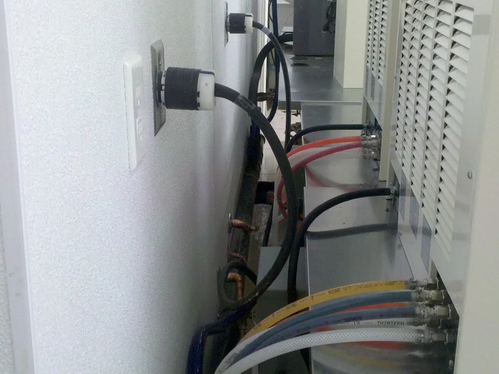 Slide of The Lone Drainer & Pronto