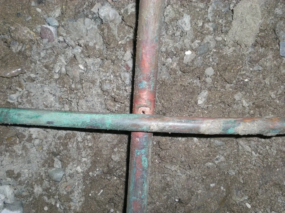 Slide of The Lone Drainer & Pronto