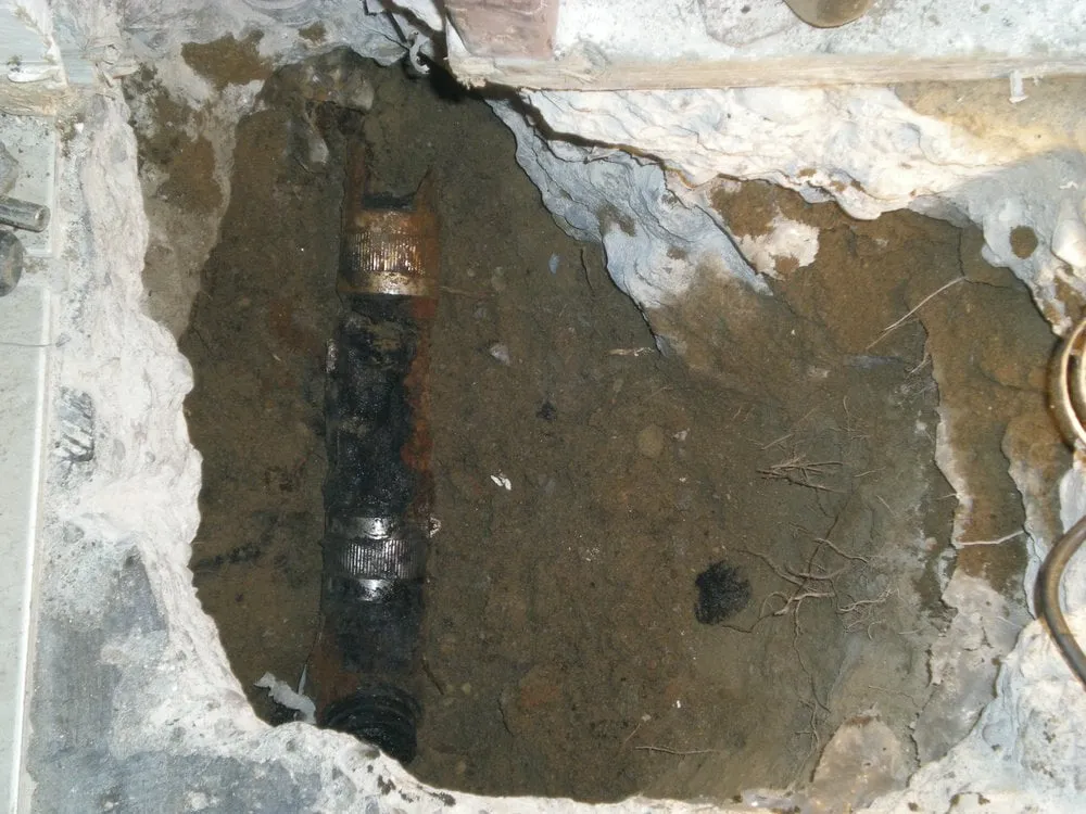 Slide of The Lone Drainer & Pronto