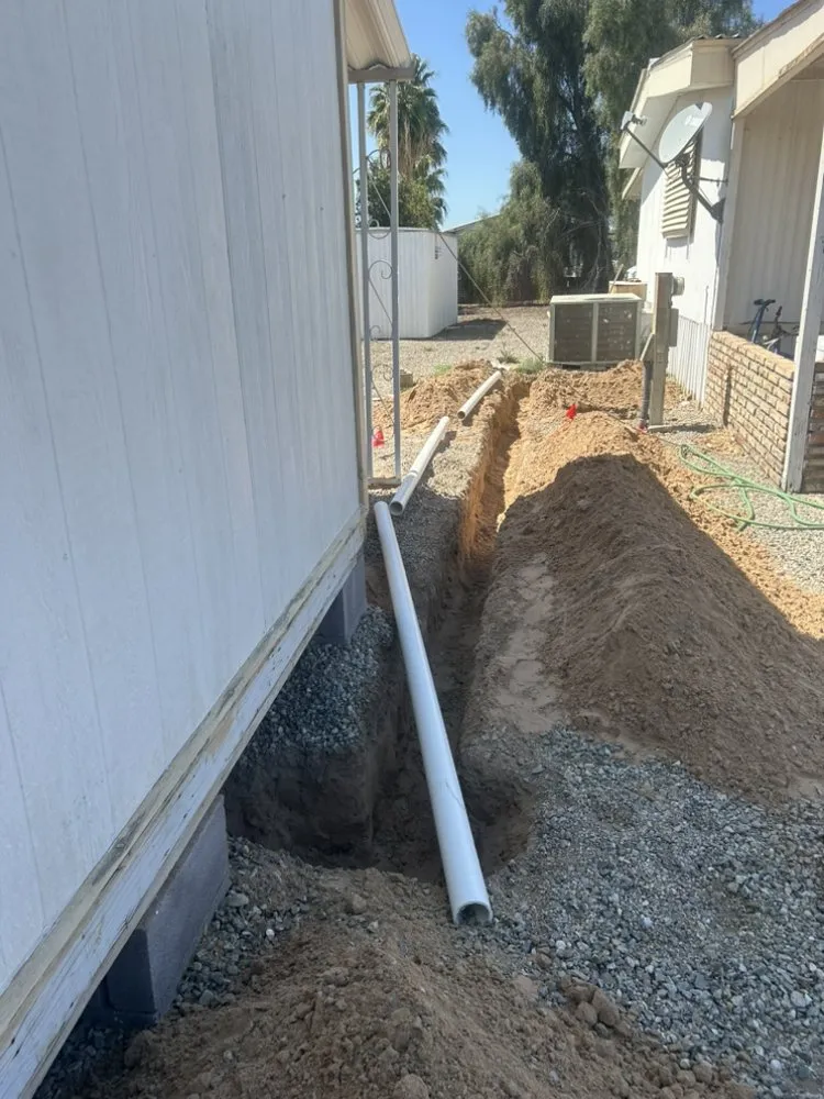 Slide of The Loyal Flush