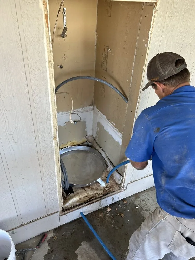 Slide of The Loyal Flush