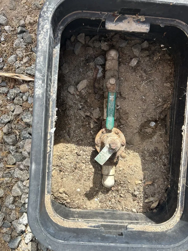 Slide of The Loyal Flush