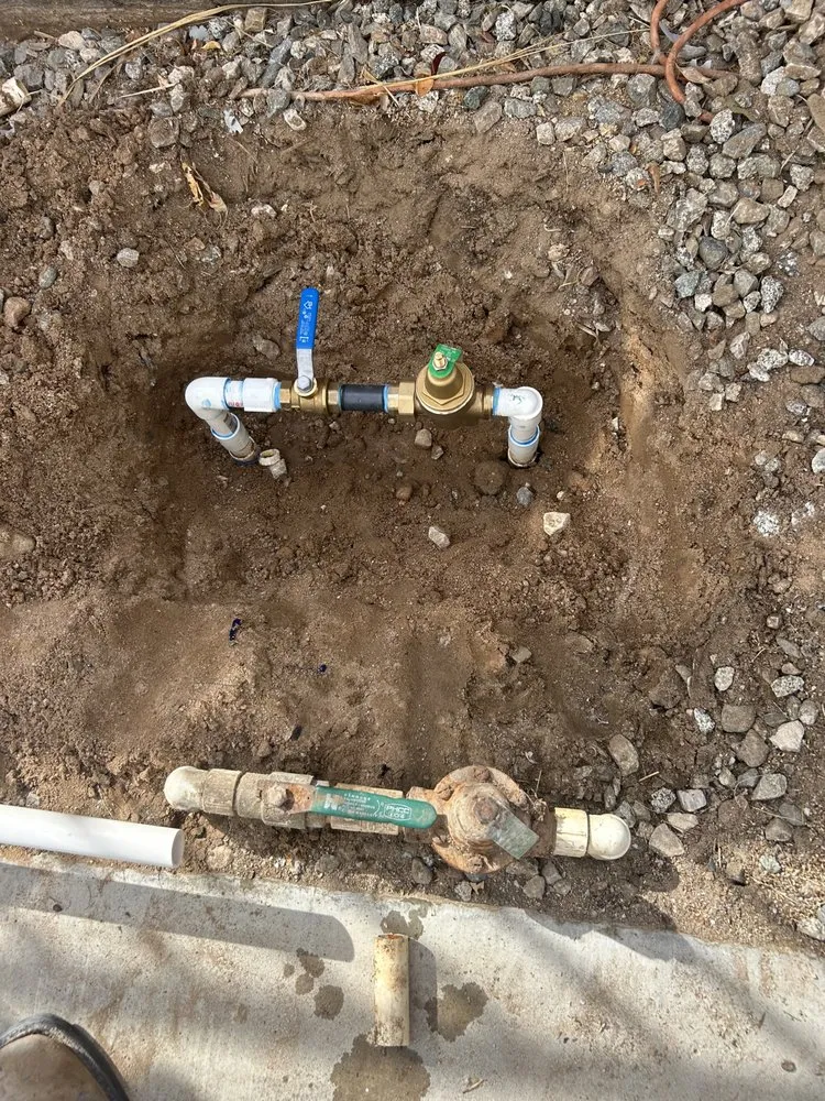 Slide of The Loyal Flush