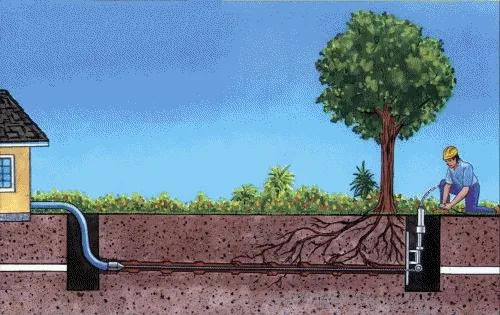 Slide of The Magic Plumber