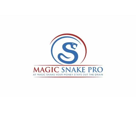 The Magic Snake Plumbing Services