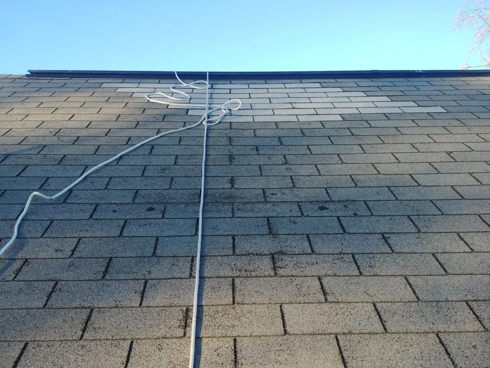 Slide of The Master's Touch