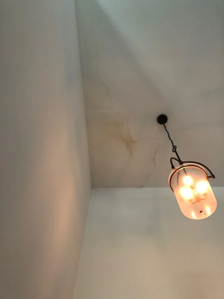 Slide of The Mattus Company, Inc