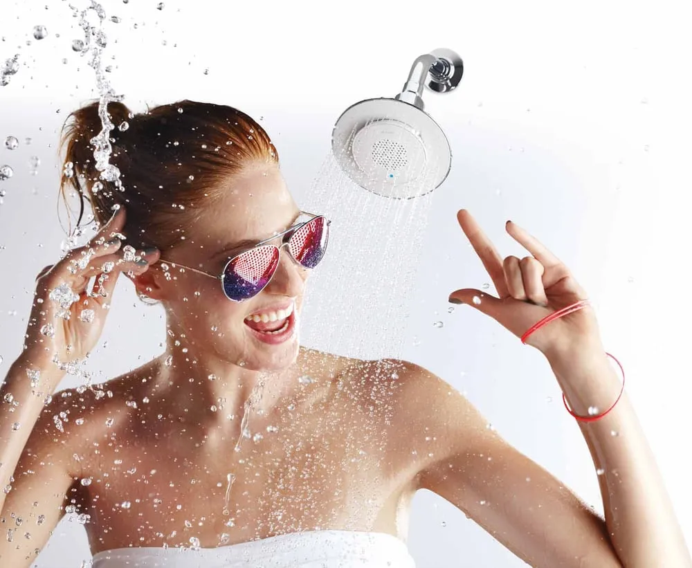 Slide of The Meridian Company