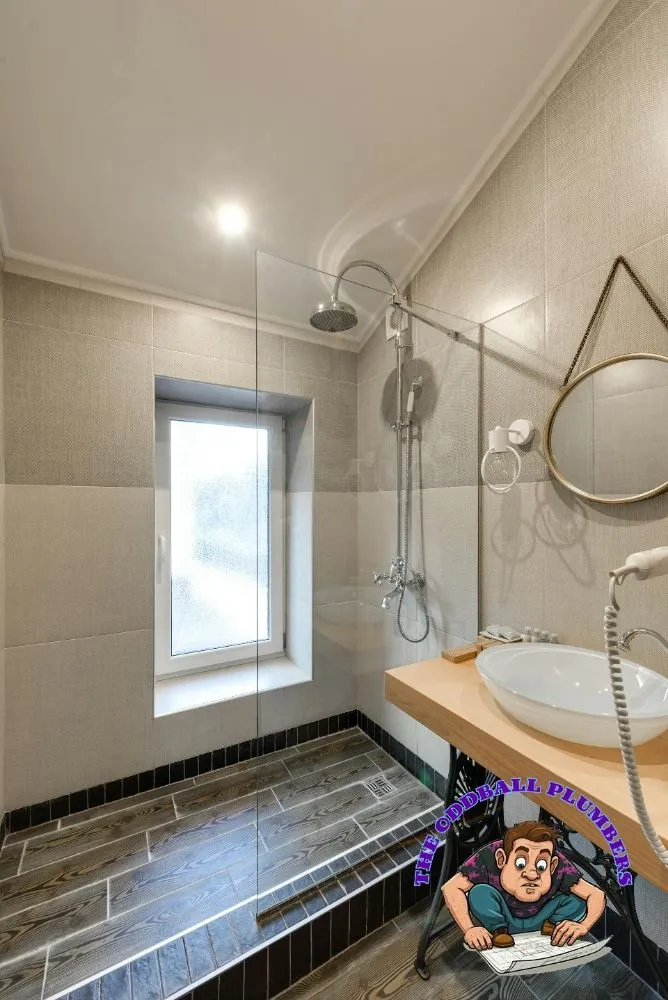 Slide of The OddBall Plumbers