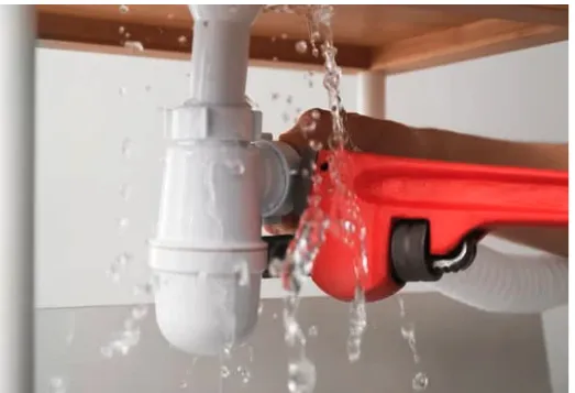 Slide of The Original Handyman