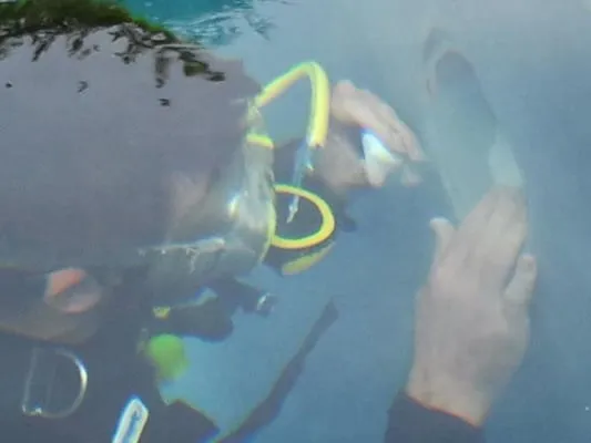 The Original LEAKMASTER, Inc. Logo