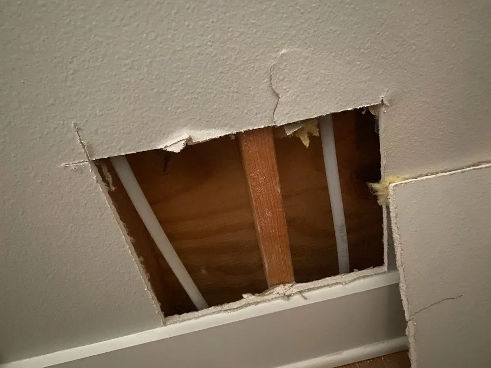 Slide of The Overall Plumber