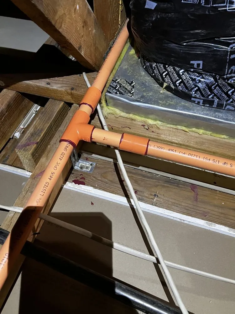 Slide of The Passionate Plumber