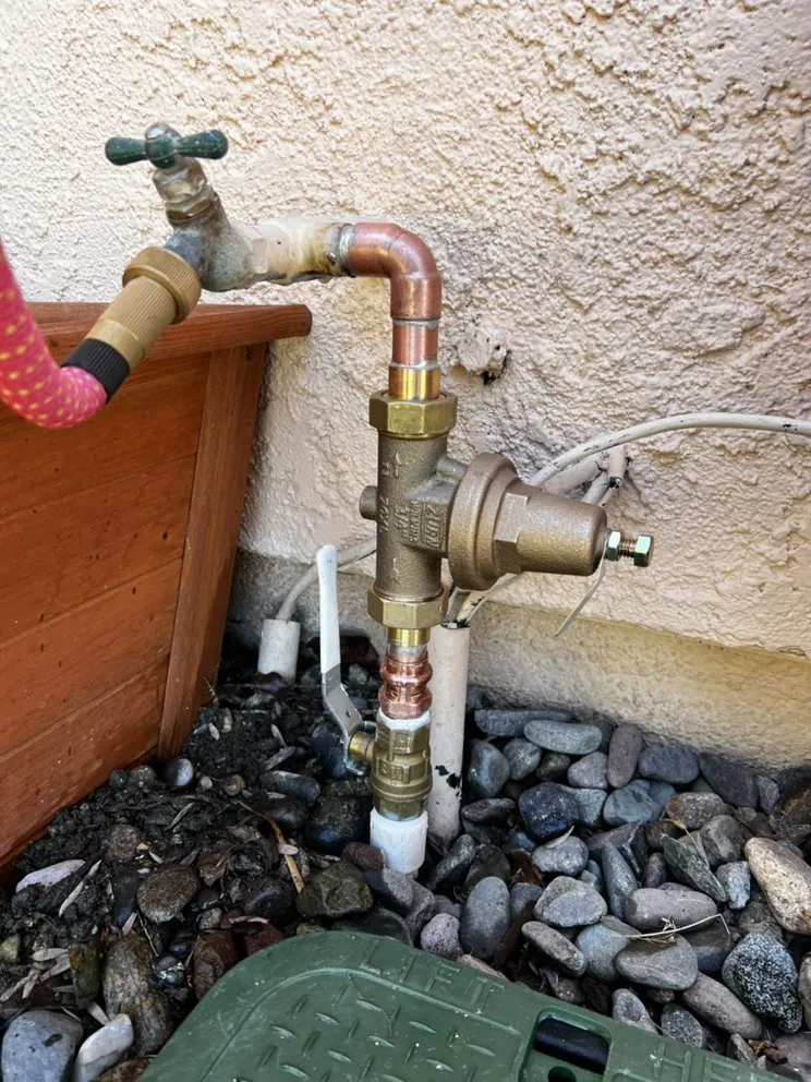 Slide of The Passionate Plumber