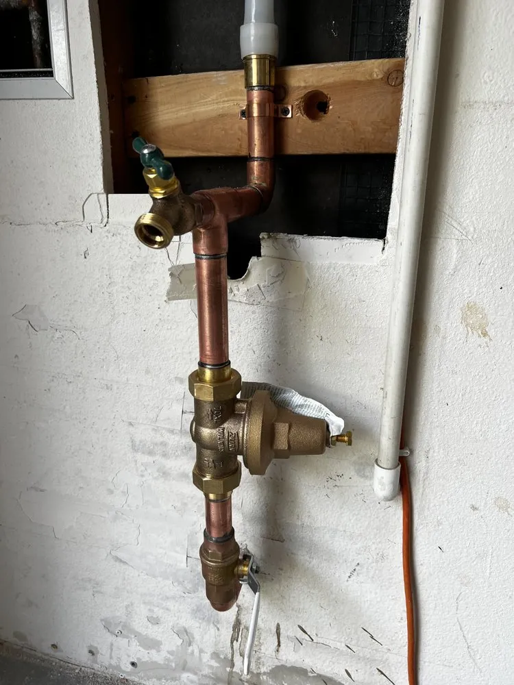 Slide of The Passionate Plumber