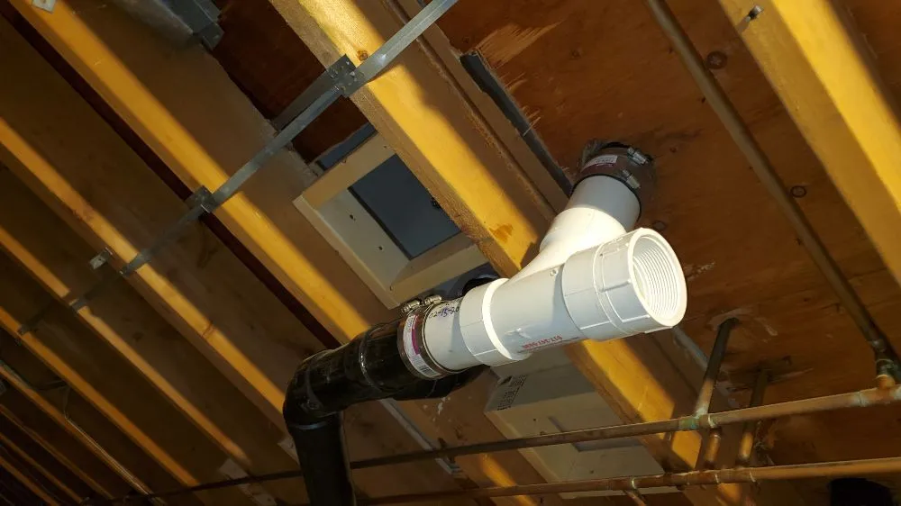 Slide of The Permanent Solution