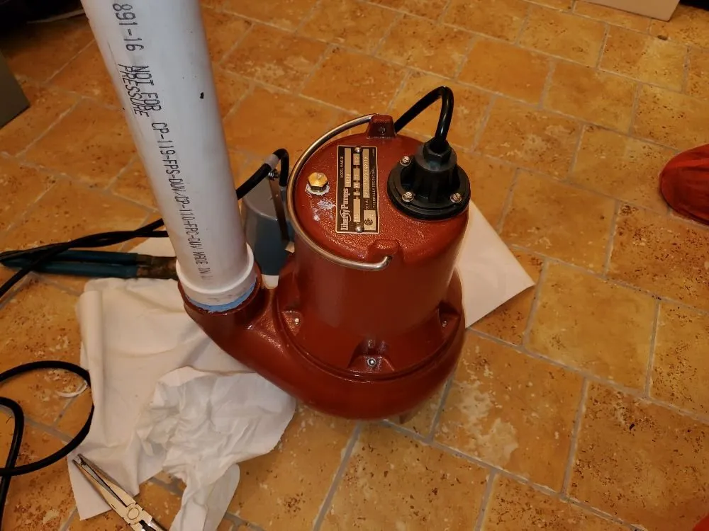 Slide of The Permanent Solution