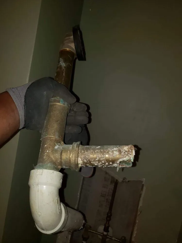 Slide of The Permanent Solution