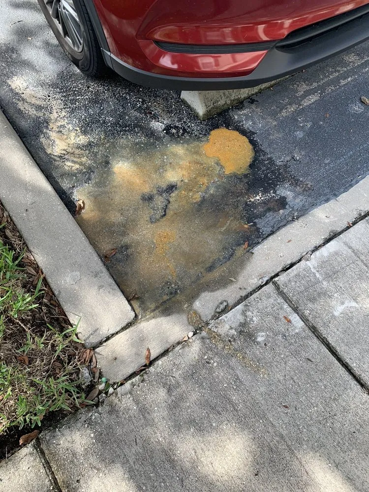 Slide of The Pink Plumber - Tampa