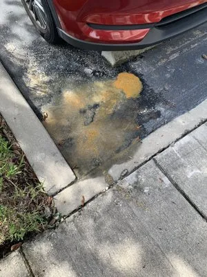 The Pink Plumber - Tampa Logo