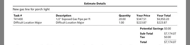 Slide of The Pink Plumber